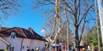 20230311 Sturmschaden in Baden