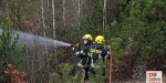 20230325 Bezirksmodul "Waldbrand Grundlagen" in Lindabrunn-Enzesfeld