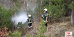 20230325 Bezirksmodul "Waldbrand Grundlagen" in Lindabrunn-Enzesfeld