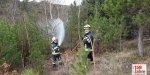 20230325 Bezirksmodul "Waldbrand Grundlagen" in Lindabrunn-Enzesfeld