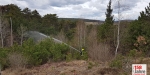 20230325 Bezirksmodul "Waldbrand Grundlagen" in Lindabrunn-Enzesfeld