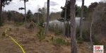 20230325 Bezirksmodul "Waldbrand Grundlagen" in Lindabrunn-Enzesfeld