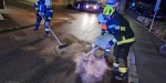 20230331 Betriebsmittelaustritt nach Unfall Pkw gegen Moped in Baden