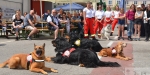 2023-06-03_Feuerwehrfest_Baden-Stadt_035