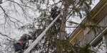 2018_01_07 - Tierrettung Katze Mau-Mau auf Baum - www.ffbs.at