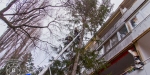 2018_01_07 - Tierrettung Katze Mau-Mau auf Baum - www.ffbs.at