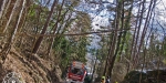 20190113 Strumschaden Zufahrt zum Rudolfshof Baden  Foto: Alexandra Stosch