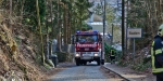 20190113 Strumschaden Zufahrt zum Rudolfshof Baden  Foto: Alexandra Stosch