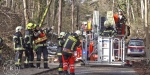 20190113 Strumschaden Zufahrt zum Rudolfshof Baden Foto: Stefan Schneider