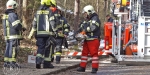 20190113 Strumschaden Zufahrt zum Rudolfshof Baden  Foto: Stefan Schneider