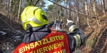 20190113 Strumschaden Zufahrt zum Rudolfshof Baden  Foto: Stefan Schneider