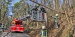 20190113 Strumschaden Zufahrt zum Rudolfshof Baden  Foto: Alexandra Stosch