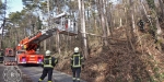 20190113 Strumschaden Zufahrt zum Rudolfshof Baden  Foto: Stefan Schneider