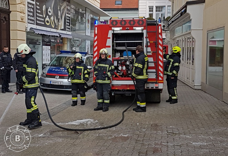 20190118 Müllbehälterbrand FUZO Baden Foto: Fritz Beichbuchner