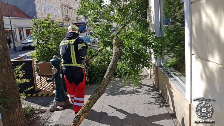 20190608 Sturmschaden in Baden