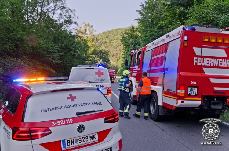 20190630 Verkehrsunfall auf der LB210 im Helenental