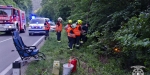 20190630 Verkehrsunfall auf der LB210 im Helenental