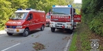 20190716 Verkehrsunfall auf der LB210 im Helenental Siegenfeld  Foto: Stefan Schneider FF Baden-Stadt