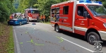 20190716 Verkehrsunfall auf der LB210 im Helenental Siegenfeld  Foto: Stefan Schneider FF Baden-Stadt